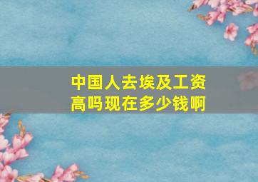 中国人去埃及工资高吗现在多少钱啊