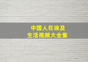 中国人在埃及生活视频大全集