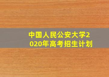 中国人民公安大学2020年高考招生计划