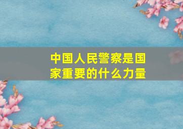 中国人民警察是国家重要的什么力量