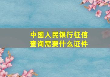 中国人民银行征信查询需要什么证件