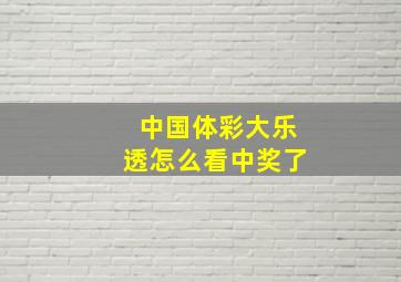 中国体彩大乐透怎么看中奖了