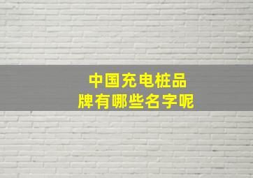 中国充电桩品牌有哪些名字呢