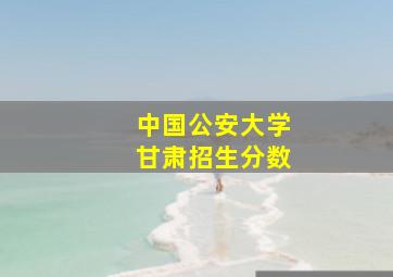 中国公安大学甘肃招生分数