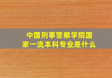 中国刑事警察学院国家一流本科专业是什么