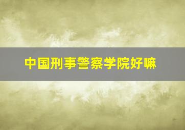 中国刑事警察学院好嘛