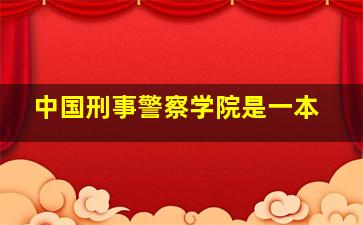 中国刑事警察学院是一本