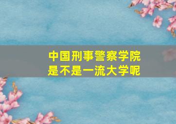 中国刑事警察学院是不是一流大学呢