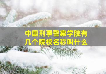 中国刑事警察学院有几个院校名称叫什么