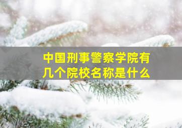 中国刑事警察学院有几个院校名称是什么