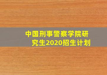 中国刑事警察学院研究生2020招生计划