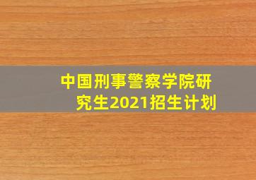 中国刑事警察学院研究生2021招生计划