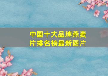 中国十大品牌燕麦片排名榜最新图片