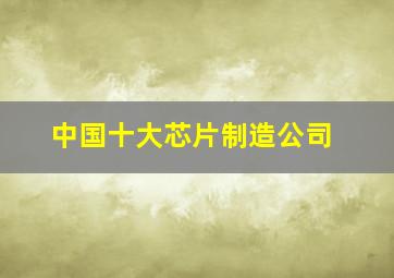 中国十大芯片制造公司