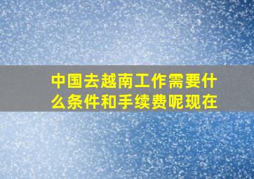 中国去越南工作需要什么条件和手续费呢现在