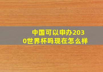 中国可以申办2030世界杯吗现在怎么样