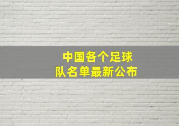 中国各个足球队名单最新公布