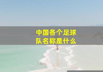 中国各个足球队名称是什么