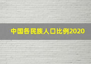 中国各民族人口比例2020