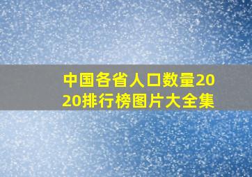 中国各省人口数量2020排行榜图片大全集