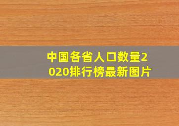 中国各省人口数量2020排行榜最新图片