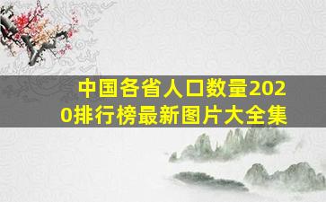 中国各省人口数量2020排行榜最新图片大全集