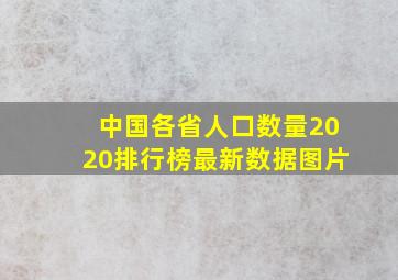 中国各省人口数量2020排行榜最新数据图片