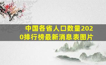 中国各省人口数量2020排行榜最新消息表图片