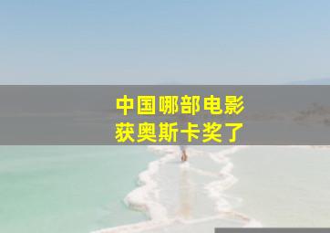 中国哪部电影获奥斯卡奖了