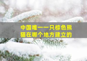 中国唯一一只棕色熊猫在哪个地方建立的