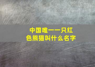 中国唯一一只红色熊猫叫什么名字