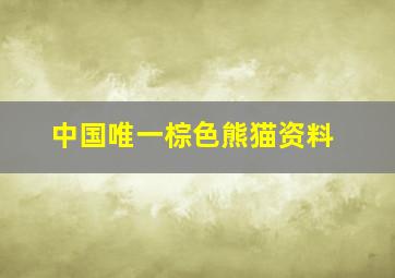 中国唯一棕色熊猫资料