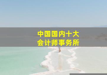 中国国内十大会计师事务所