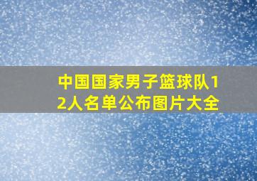 中国国家男子篮球队12人名单公布图片大全