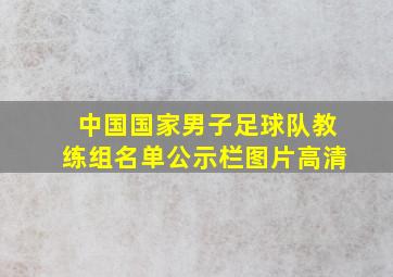 中国国家男子足球队教练组名单公示栏图片高清