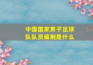 中国国家男子足球队队员编制是什么