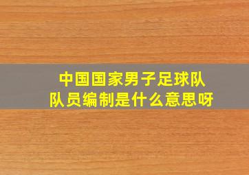 中国国家男子足球队队员编制是什么意思呀