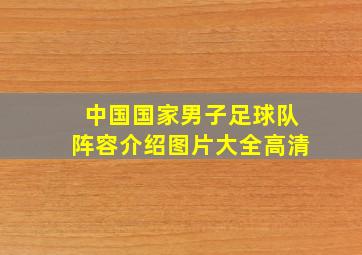 中国国家男子足球队阵容介绍图片大全高清