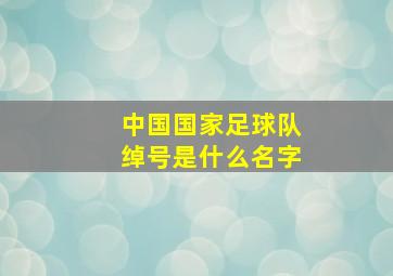 中国国家足球队绰号是什么名字