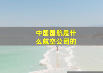 中国国航是什么航空公司的