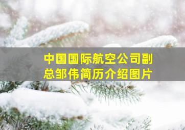 中国国际航空公司副总邹伟简历介绍图片