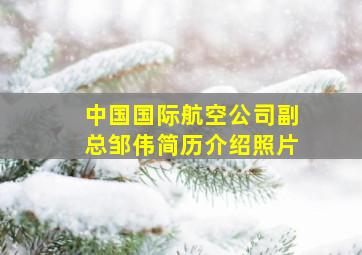 中国国际航空公司副总邹伟简历介绍照片