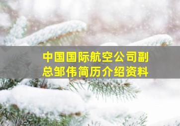 中国国际航空公司副总邹伟简历介绍资料