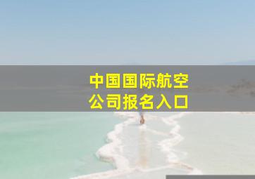 中国国际航空公司报名入口