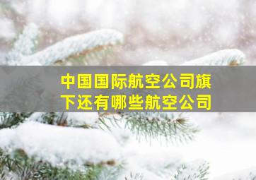 中国国际航空公司旗下还有哪些航空公司