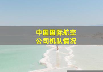 中国国际航空公司机队情况