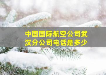 中国国际航空公司武汉分公司电话是多少