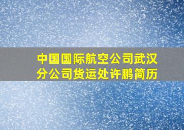 中国国际航空公司武汉分公司货运处许鹏简历