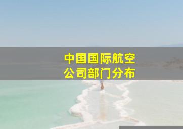 中国国际航空公司部门分布