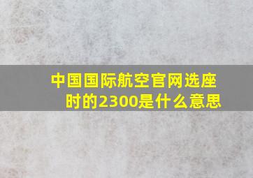 中国国际航空官网选座时的2300是什么意思